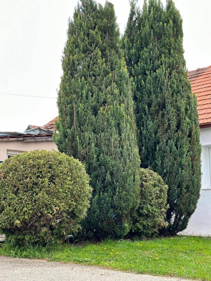 Apartmani Emily & Jully Nikšić Dış mekan fotoğraf
